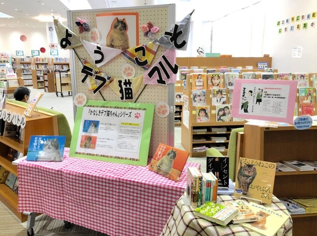 西脇市図書館に作られたデブ猫コーナー＝西脇市野村町茜が丘