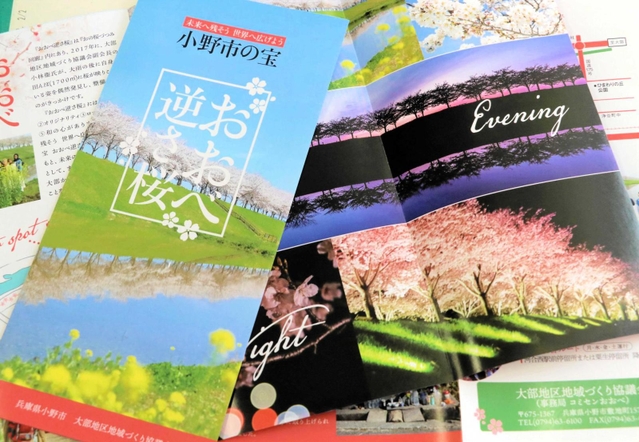 住民らが製作した「おおべ逆さ桜」のパンフレット＝小野市敷地町