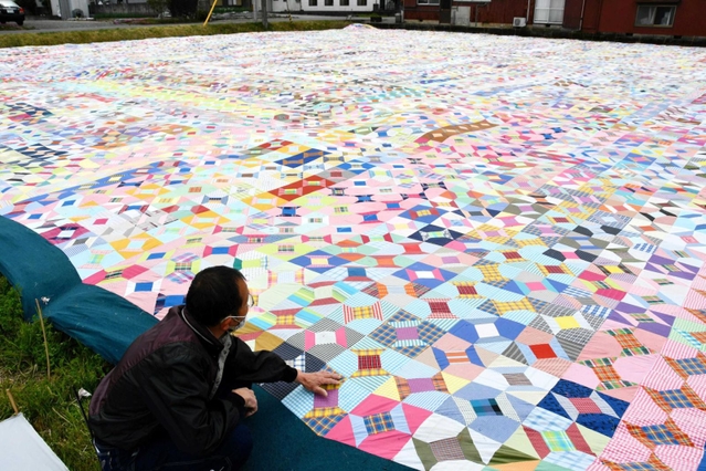 １万枚を超えるキルトのパッチワークで埋め尽くされる田んぼ＝西脇市鹿野町