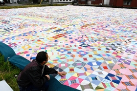 １万枚を超えるキルトのパッチワークで埋め尽くされる田んぼ＝西脇市鹿野町