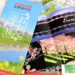 住民らが製作した「おおべ逆さ桜」のパンフレット＝小野市敷地町
