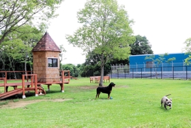 広いドッグラン。ツリーハウスやベンチも備える＝小野市万勝寺町