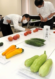 ＪＡ職員が育てたトマトやズッキーニなどの野菜が並んだ品評会＝ＪＡみのり本店