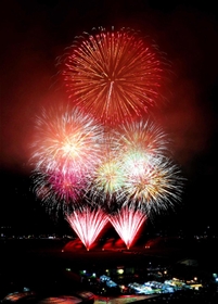 約５千発の花火が夜空を彩った「ファイヤーファンタジア」＝小野市敷地町