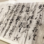 「花火御座候て、御見物に御出くだされるべく候」。花火見物を誘う江戸期の書簡のコピー