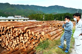 北はりま森林組合の事務所前に滞留している木材＝多可町加美区豊部