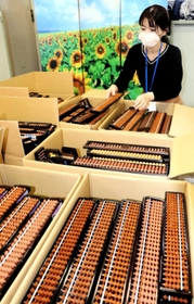 トンガ王国に贈る中古そろばん。小野市から世界に送り出したそろばんは１万丁を超える＝小野市王子町、市伝統産業会館