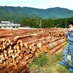 北はりま森林組合の事務所前に滞留している木材＝多可町加美区豊部