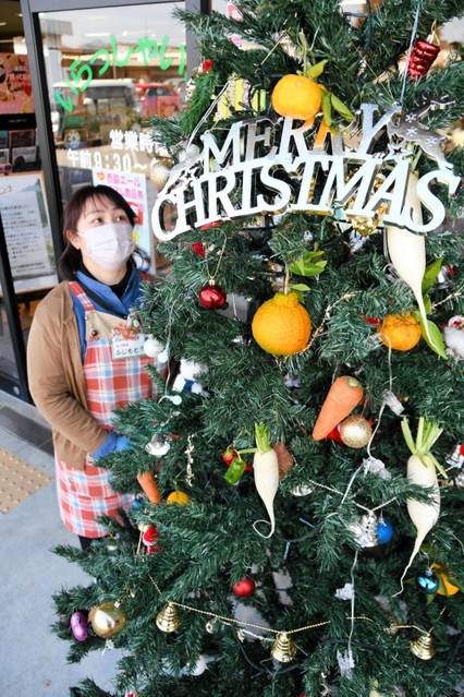 「北はりま旬菜館」の前に置かれたクリスマスツリー＝西脇市野村町