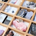 貴石の一つ一つから思い出がよみがえる＝小野市