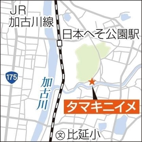 神戸新聞ＮＥＸＴ