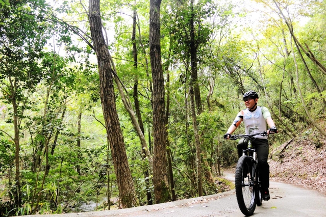 せせらぎを聞きながら新緑のトンネルを走り抜ける＝加東市畑