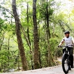 せせらぎを聞きながら新緑のトンネルを走り抜ける＝加東市畑