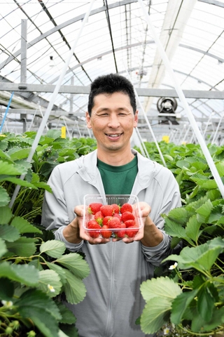 シーズン最終盤のイチゴを安く提供する吉川知弘さん＝多可町加美区箸荷
