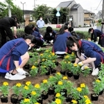 花の苗を花壇に植える小野工業高生＝小野市片山町
