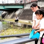 杉原川にアユの稚魚を放流する子どもたち＝西脇市西脇