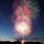 水面や夜空を鮮やかに彩った花火＝東条湖