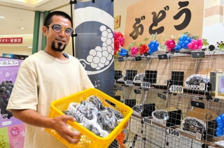 ペイペイで決済できる無人直売所でブドウを販売する松本英樹さん＝アスティアかさい
