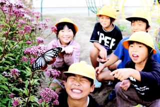 校内のフジバカマに飛来したアサギマダラに喜ぶ児童ら＝１３日、滝野南小学校