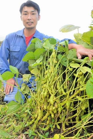 多くのさやをつけた黒大豆枝豆「ひかり姫」と、栽培者の大橋麻世さん＝加西市上万願寺町