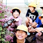 校内のフジバカマに飛来したアサギマダラに喜ぶ児童ら＝１３日、滝野南小学校