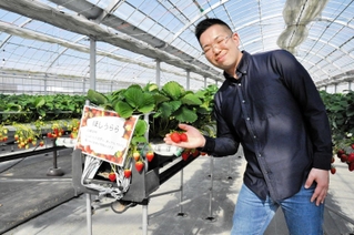 赤いイチゴを手に取る馬本康幸さん＝いずれも小野市広渡町