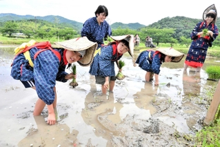早乙女姿で田植えにいそしむ子どもたち＝加西市和泉町