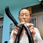 「よっ！」とこちらに手を挙げているかのようなナス＝西脇市蒲江