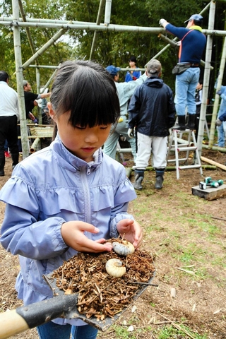 竹チップの山に生まれたカブトムシの幼虫と、竹で組まれたあずまや＝西脇市明楽寺町