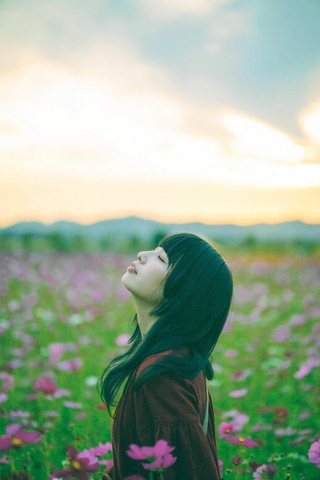 【４】ｋ＿ｙａｊｉｍａさんの「ドラマティックコスモス」＝１０月１７日、小野市、市立ひまわりの丘公園