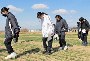 もち麦の若芽を踏みしめる生徒たち＝加東市屋度