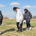 もち麦の若芽を踏みしめる生徒たち＝加東市屋度