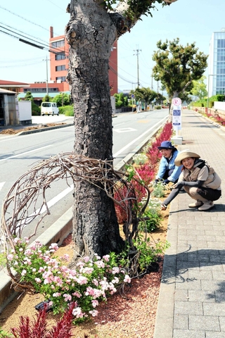 ピンク色を中心に華やかな草花が楽しめるオリンピア通り＝加東市社