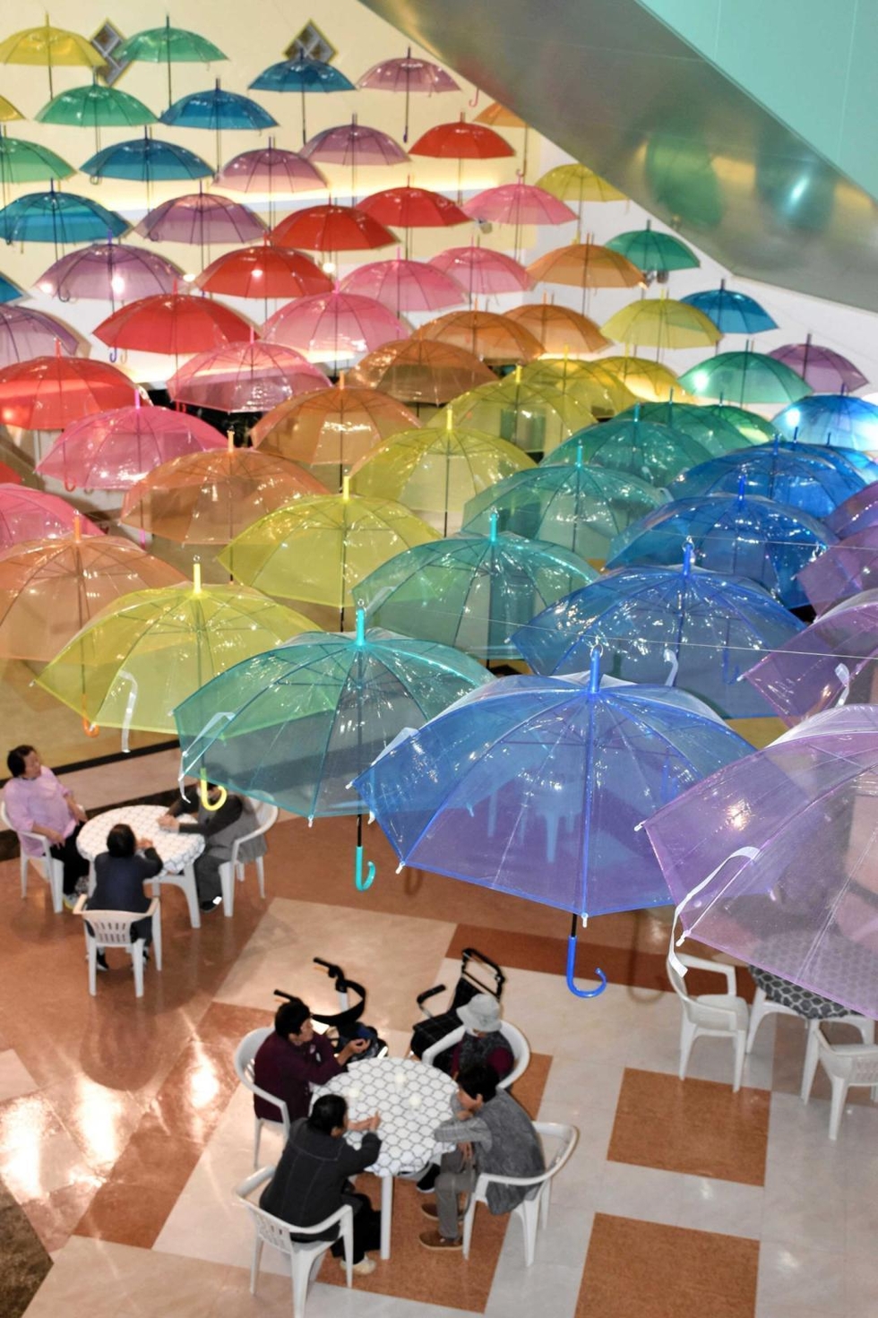 梅雨空も心軽く 「映え」る傘アート、色とりどり146本ふわり