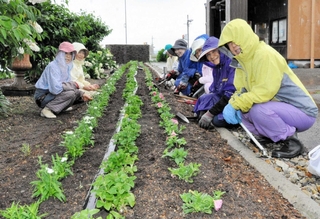 雨の日も植栽する「おのガーデニングボランティア」の会員ら＝小野市浄谷町