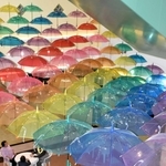 色とりどりの傘が並び、写真映えする光景を演出する＝アスティアかさい