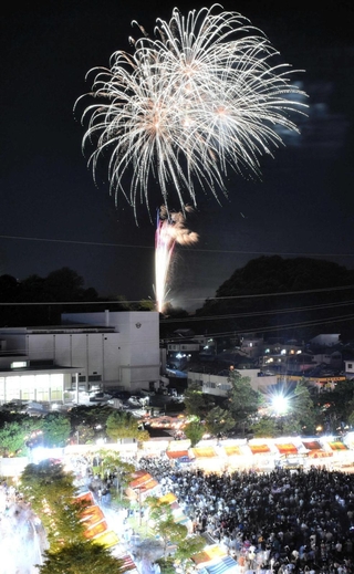 夜空を彩った花火＝加西市役所から撮影
