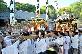 日吉神社ではみこしが練り合わせ。例祭は神々の結婚から出産までを示し、荒々しい総練りは陣痛を表すと伝わる＝２０２４年１０月１３日、加西市池上町