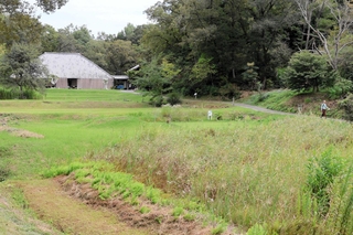 自然共生サイトに認定された県立やしろの森公園＝加東市上久米