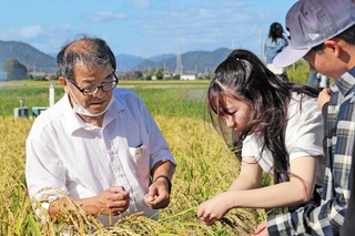 山田錦の稲穂について説明を受ける生徒（右２人）ら＝加東市沢部