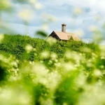 ｃｏｍａｃｈａｎ９９さんの「フワフワ～の白い蕎麦の花、このあとは美味しいお蕎麦に♪」＝９月２６日、小野市