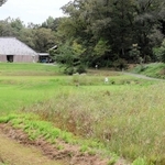 自然共生サイトに認定された県立やしろの森公園＝加東市上久米