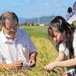山田錦の稲穂について説明を受ける生徒（右２人）ら＝加東市沢部