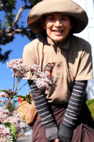 オリンピア通りに飛来したアサギマダラと角英津子さん＝加東市社