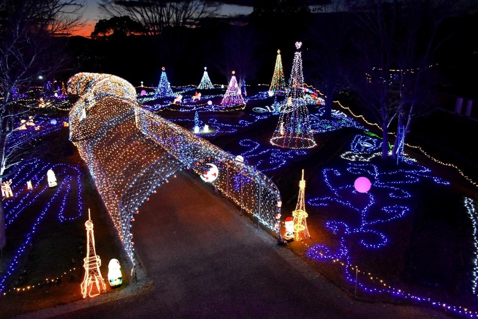 花と光のクリスマス」幻想的に 夜の花壇にLED10万個きらびやか 加西