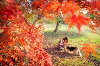 ｔａｋｅ＿ｓｉｚｕｋｕさんの「紅葉より、おやつちょーだい」＝１１月１４日、加西市豊倉町