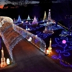 「花と光のクリスマス」幻想的に　夜の花壇にLED10万個きらびやか　加西・フラワーセンター