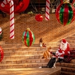 ｃｏｃｏ２０１７ｂｅｌｌｅ２０１９さんの「クリスマスの秘密」＝１２月１３日、県立フラワーセンター