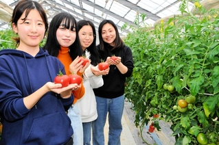 トマトを持つ中河美重さん（右端）と流通科学大の学生＝小野市広渡町