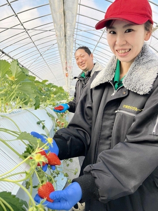 「厳寒期のイチゴが一番おいしい」と話す藤本晃平さん（奥）ら＝小野市久保木町